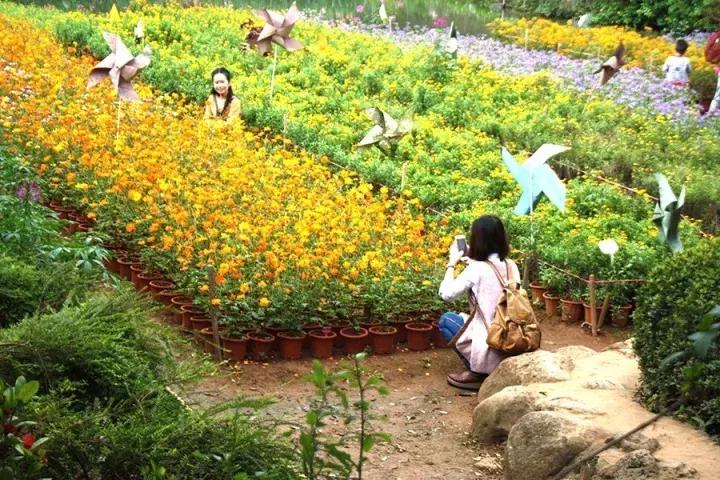 世界第二大薰衣草庄园,亚洲最大的薰衣草庄园