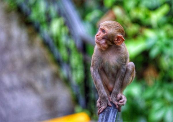 我到过许多地方是指哪里,我去过的地方皆是你看过的风景
