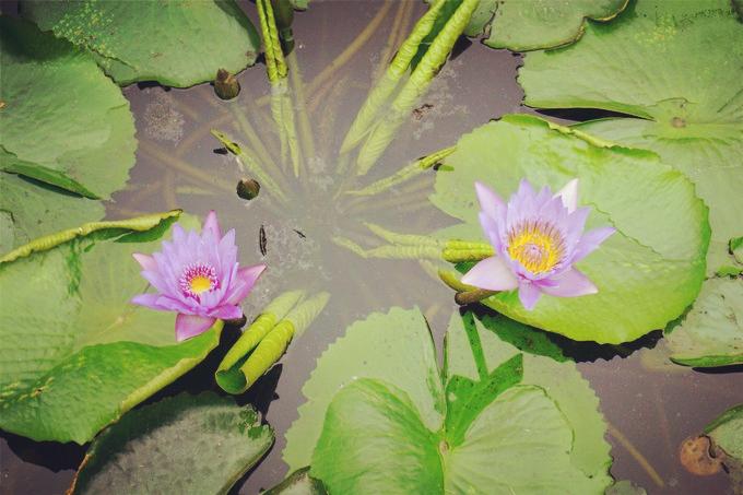 预支一段未来的旅行,带着父母去度假——三亚