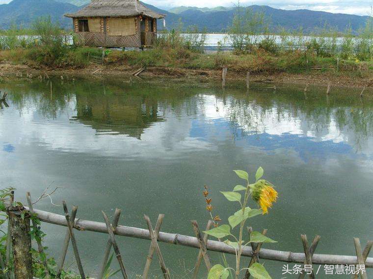 七宗罪中的原罪是什么,七宗罪里贪婪怎样理解