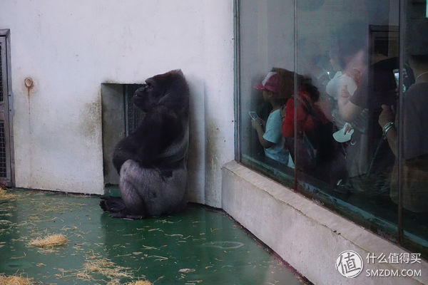 索尼a6000微单使用教程,索尼a6000微单拍摄教程