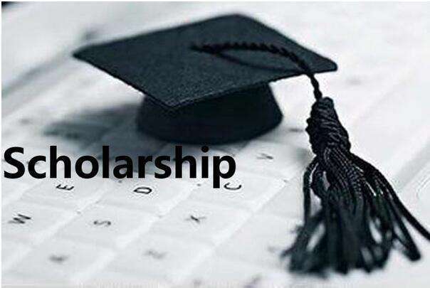 大学生可以做哪些收入高的兼职？说正经的哟~