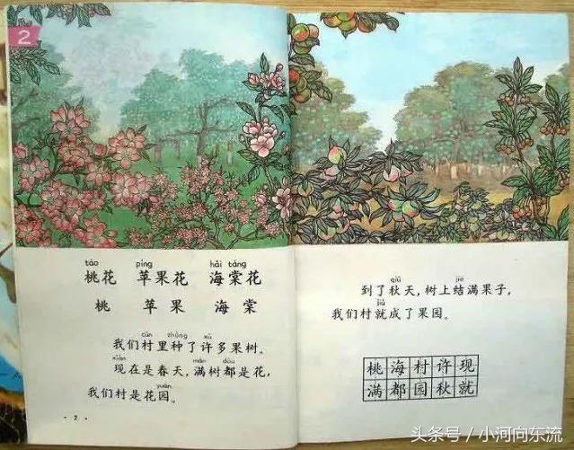 20年前的课本满满的回忆,20年前的语文课本有哪些课文