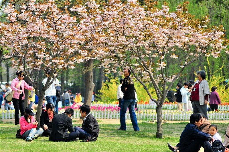 自驾游青岛自由行详细攻略,自由行青岛如何出行