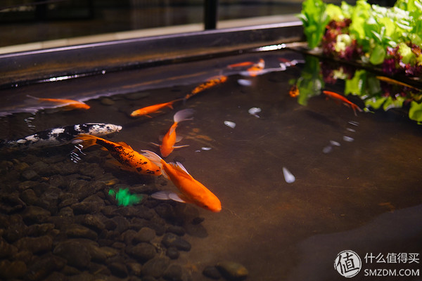 索尼a6000微单使用教程,索尼a6000微单相机新手教程