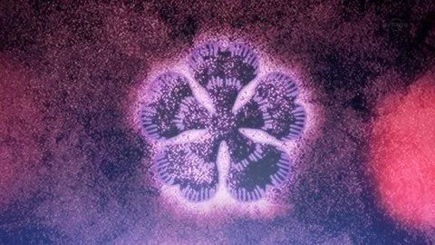 十月新番一口气看完合集,十月新番一次性看完