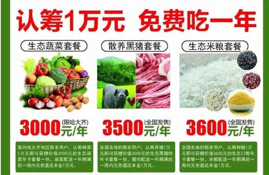 二师兄的生意经,二师兄炒股盈利