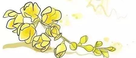 桂子飘零，天凉好个秋