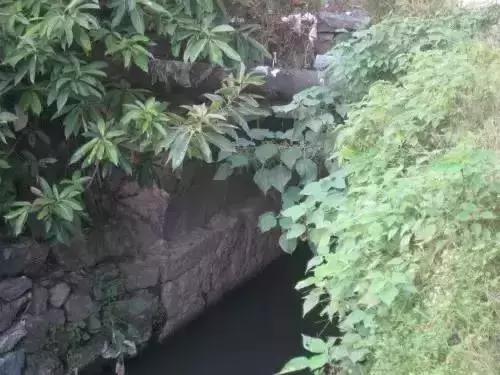 广东英德古镇排名,英德各镇实力排名