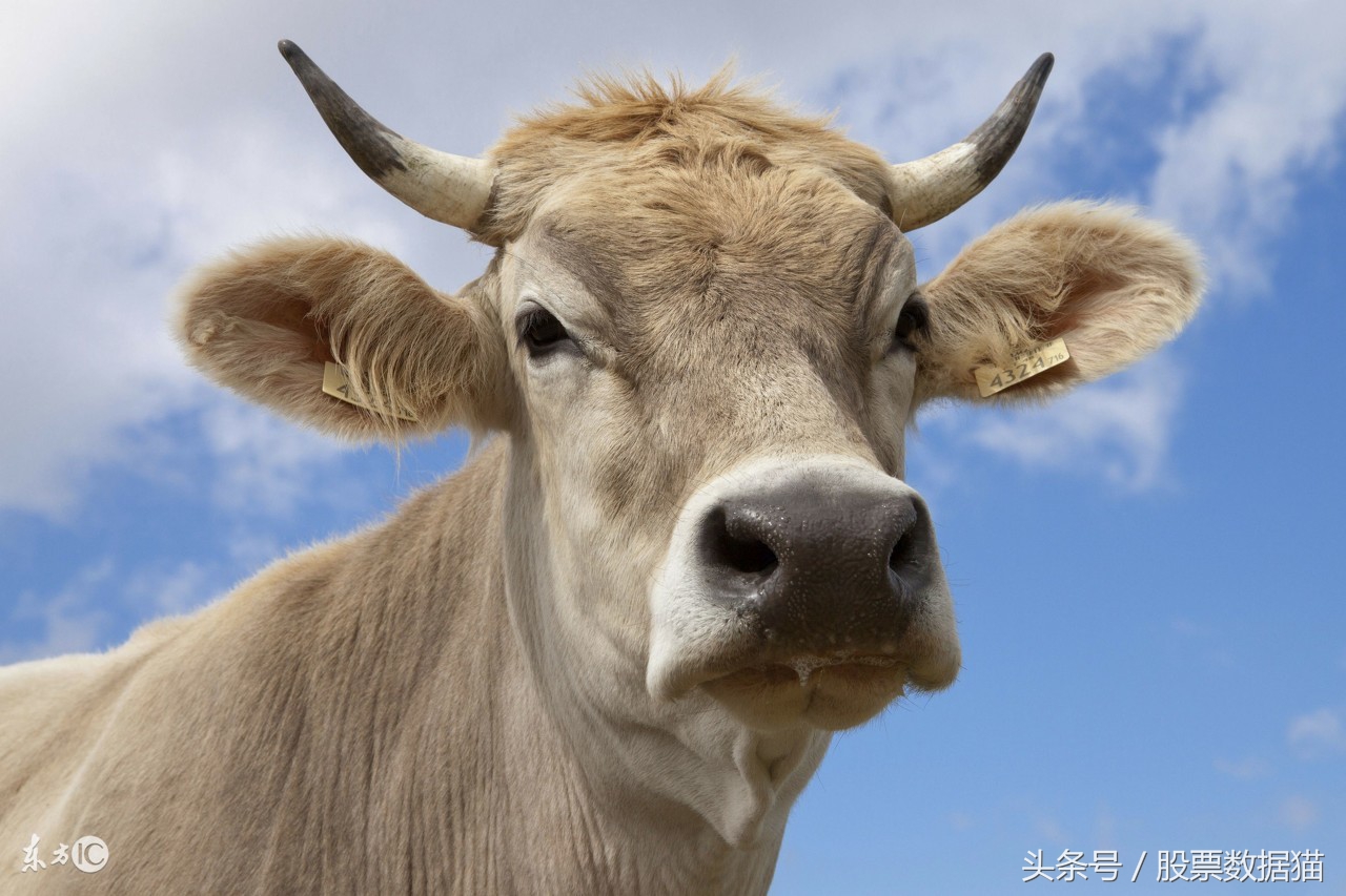 有望涨的股票,下周暴涨的次新股