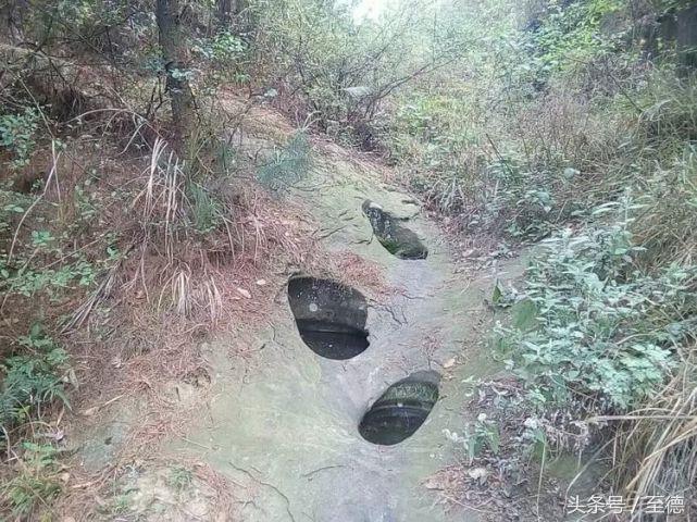 泸州深山老林景区,隐藏的世外桃源山中奇观