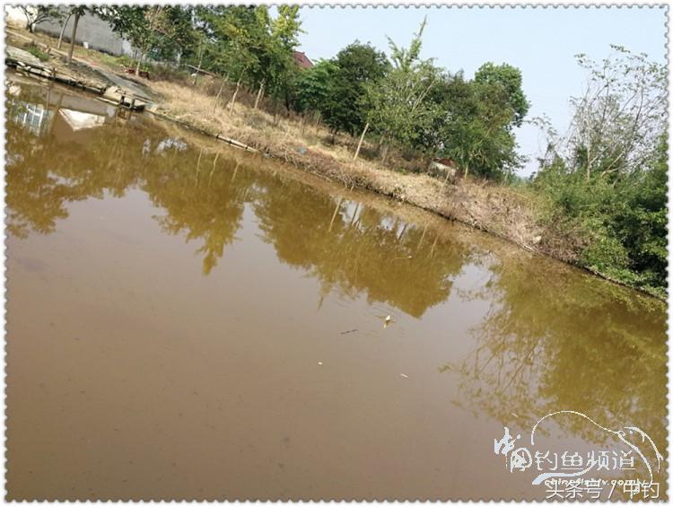 国庆节的来历,国庆头像