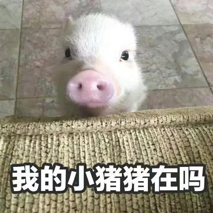 比代购便宜又实惠的商品,比免税店还便宜的代购