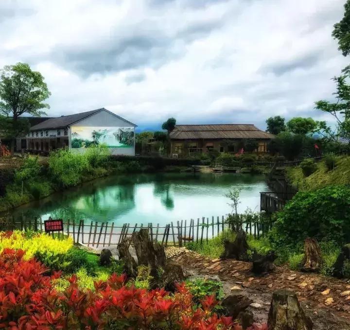 手机拍照拍不出你们的美感,拍照不好看是手机的问题