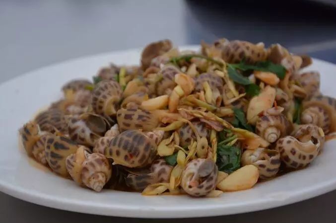 大连包机飞三亚,大连包机直飞