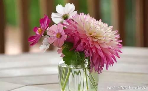 在家怎么插花视频教程,如何正确插花