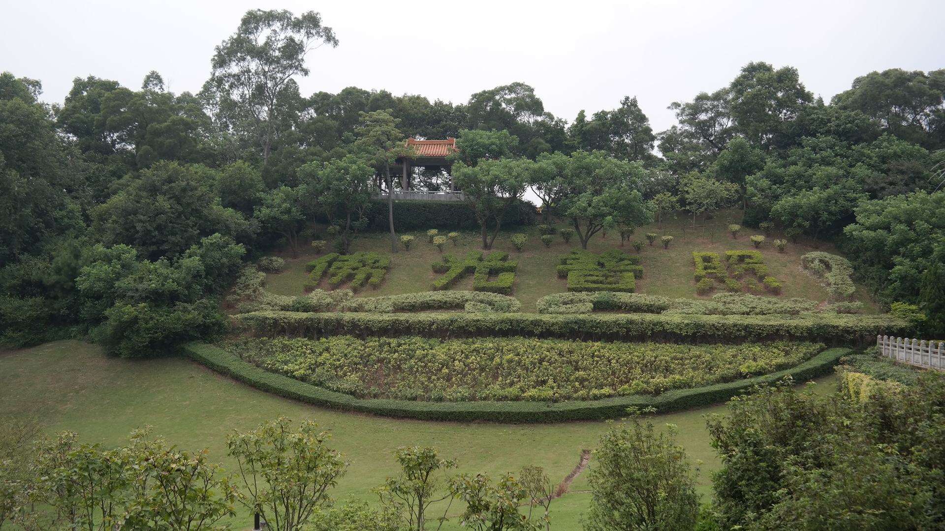 广州长隆万圣节游玩攻略,2021年广州长隆万圣节游玩攻略