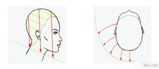 听说看了这美发沙宣理论,进理发店再也不用怕被坑了……
