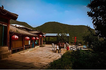 北果园大枣采摘,怀柔大枣采摘攻略