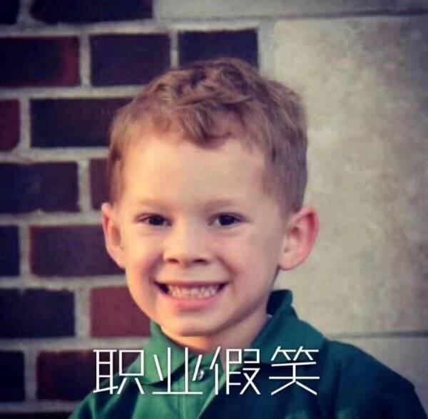 精致猫咪必备品有哪些种类,这几种猫咪养得起的都是土豪