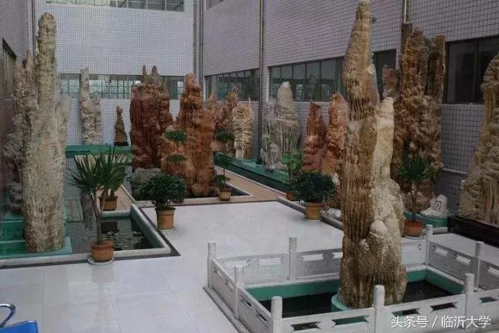 恐龙来了！上万元门票同时砸中幸运的你！