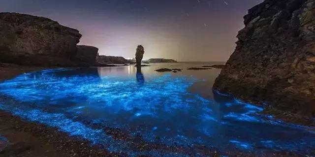 花鸟岛海岛游,花鸟岛海岛旅游
