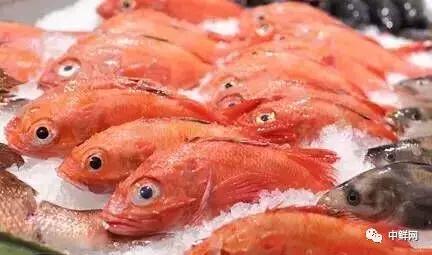 泉州超市水产招商,新鲜海鲜水产超市