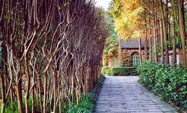 成都周边避暑的冷门景点排名榜单,成都周边比较凉快的景点