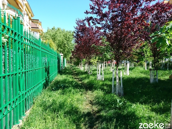 评级xf和ms什么区别,索尼alpha7iv评测