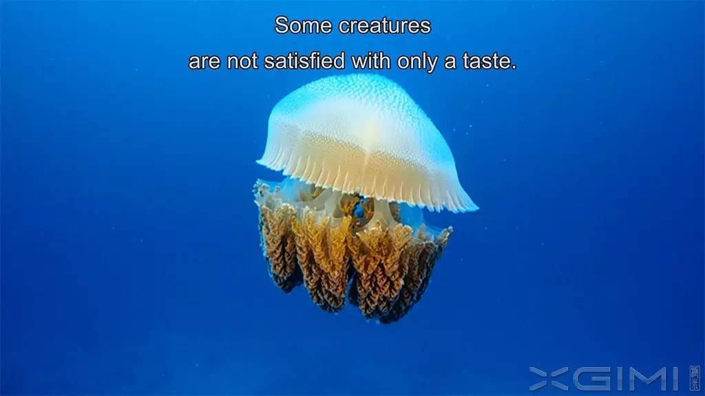 极米激光无屏电视a1评测,极米激光无屏电视t1怎么样