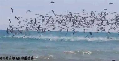 现在的女生穿秋衣秋裤吗,妹子穿着