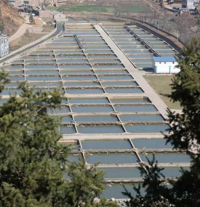 云南鲟鱼谷,中国清江鲟鱼谷