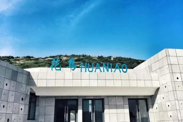 花鸟岛海岛游,花鸟岛海岛旅游