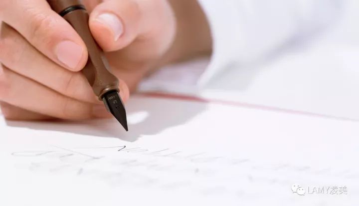 lamy布朗熊限量款，双十一发大招啦！