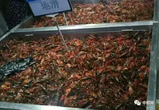 超市水产经营技巧,超市里的水产