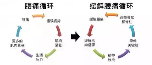 年轻人应该练什么养生功,年轻人应该学习养生操