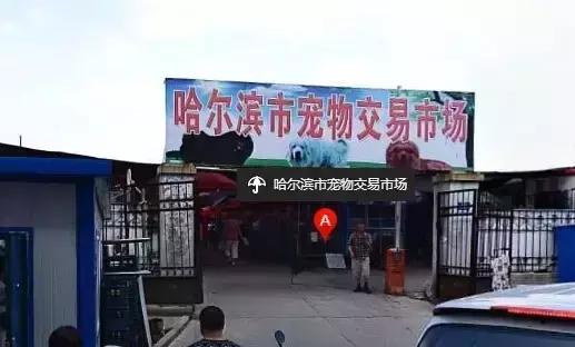 哈尔滨哪个批发城的东西最便宜,哈尔滨最大的精品批发市场