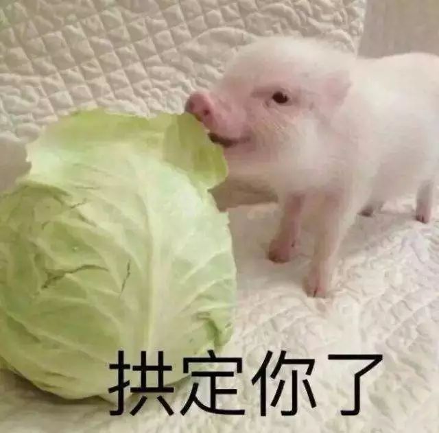 麦当劳金拱门和巨无霸,麦当劳新品金拱门豪华堡