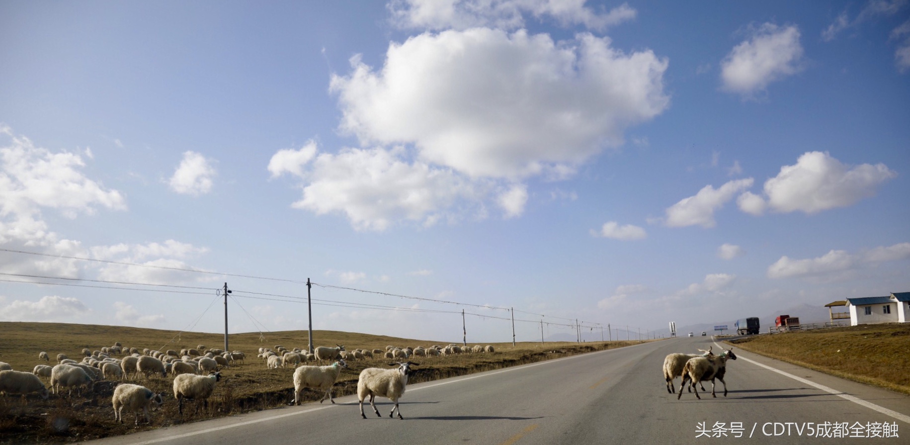 我为支点让爱远传︱成都安琪儿妇产医院“天使支点”公益计划