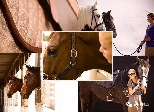 why品牌女包怎么样,why新款女包