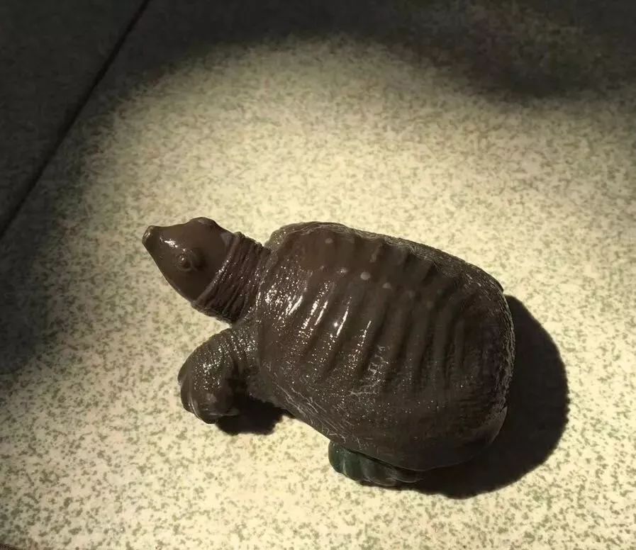 鐢ㄥ拰鐢扮帀鎹㈣溅,鐢ㄥ拰鐢扮櫧鐜夋崲涓滆タ