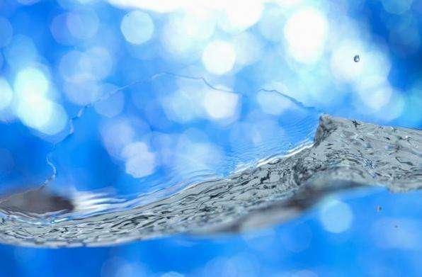 蓝藻是在地球初期什么时候形成的,地球第一个生命体蓝藻