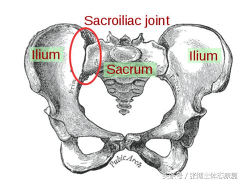 骶骨矫正姿势,姿态矫正训练视频教程