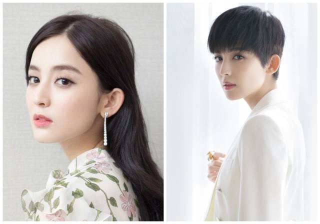 小八为什么走红,小八为什么总是怕人