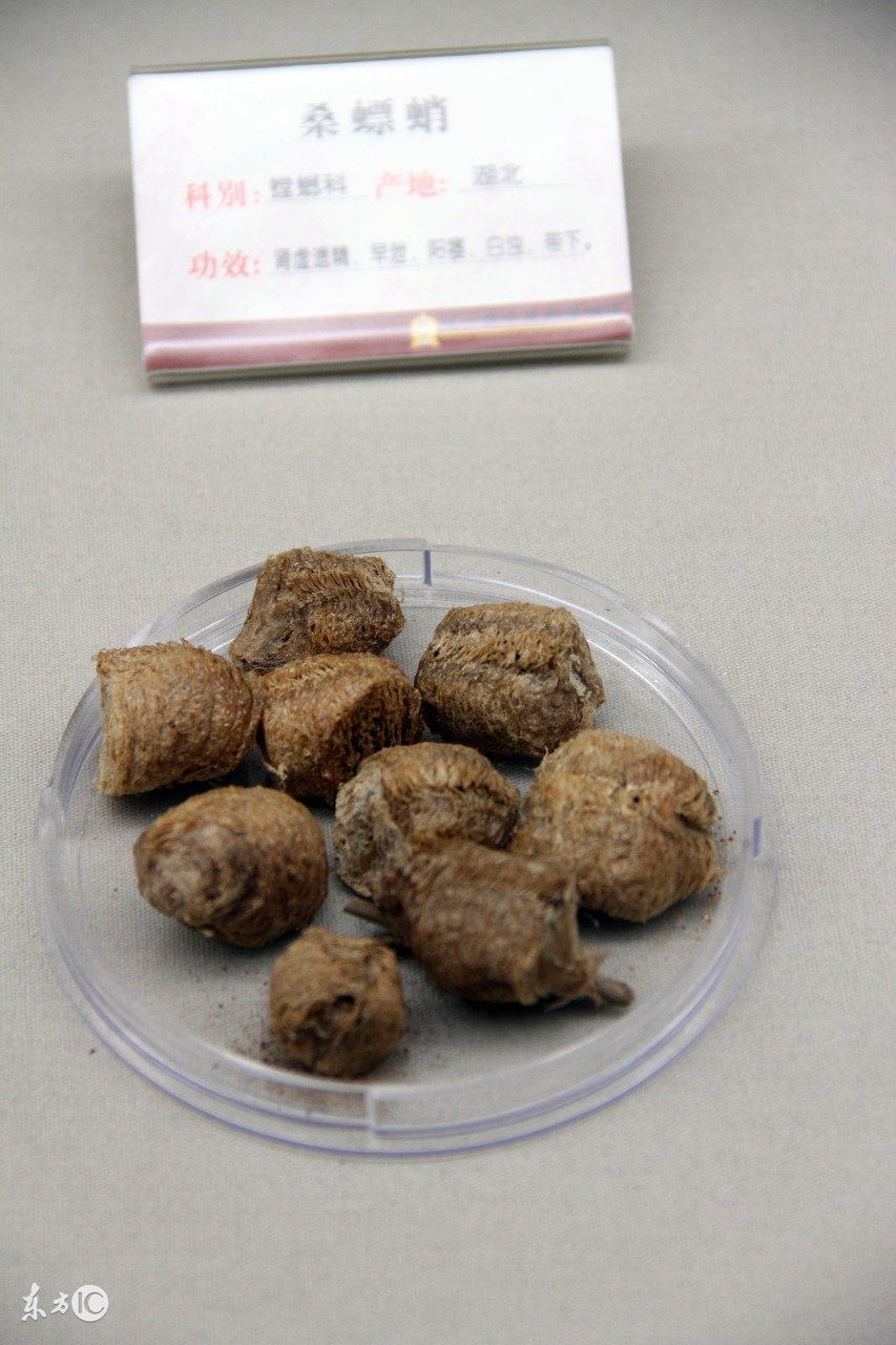 教你一招解决小孩尿床的方法,6-12岁儿童尿床妙招