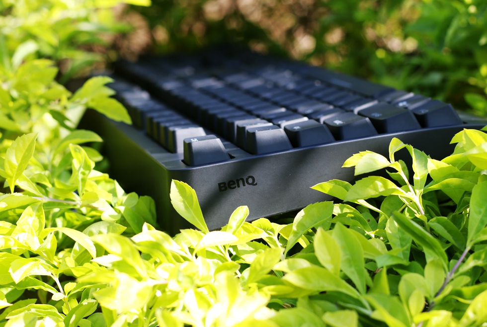 这个键盘头有些铁—ZOWIECELERITASII机械键盘