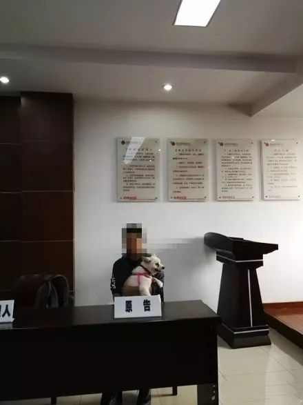 双十一剁手照,双十一剁手前后的你