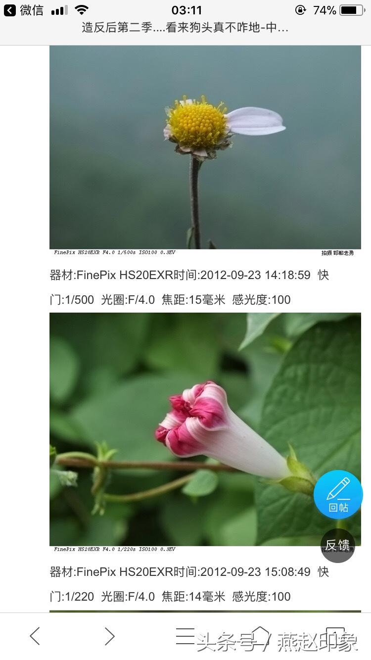 爱上摄影的苗子,爱上摄影的经历