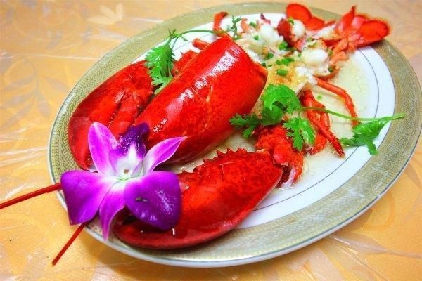 带上兜兜去旅游,带着小嘟嘟去旅游