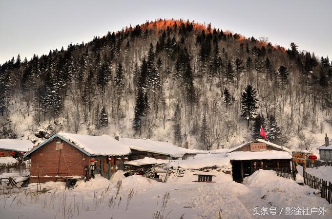 哈尔滨雾凇岛一日游,哈尔滨雪乡雾凇岛攻略